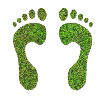 Two green footprints made out of grass